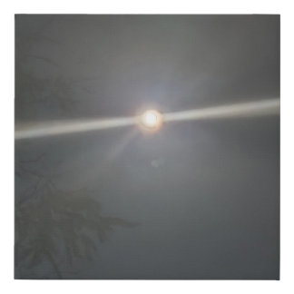 Moonlit Canvas Print