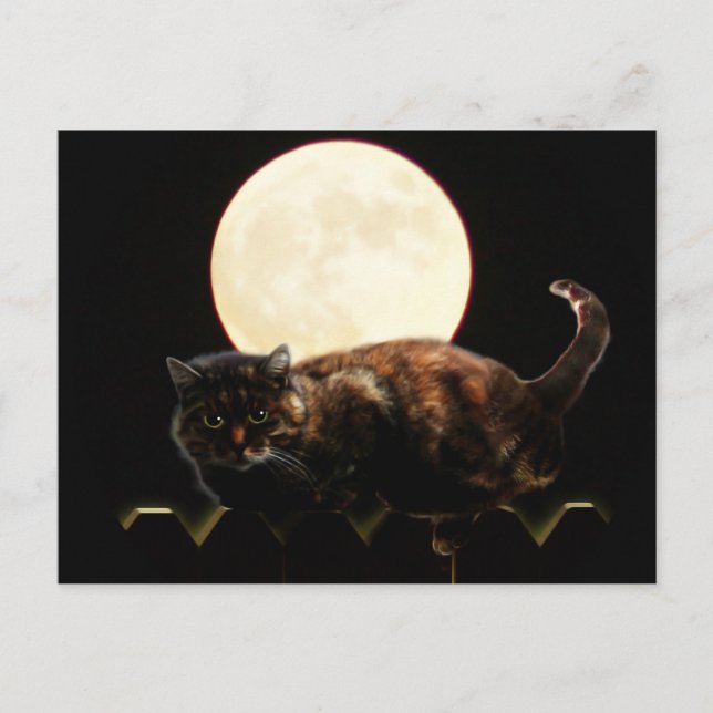Moonlit Cat on a Fence With Full Moon Postcard (Front)