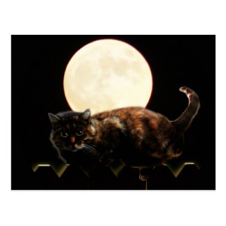 Moonlit Cat on a Fence With Full Moon Postcard