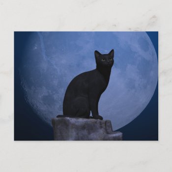 Moonlit Cat Postcard by SlightlyFantastical at Zazzle