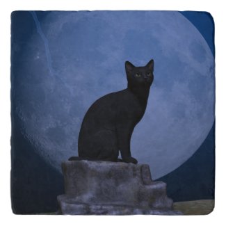 Moonlit Cat