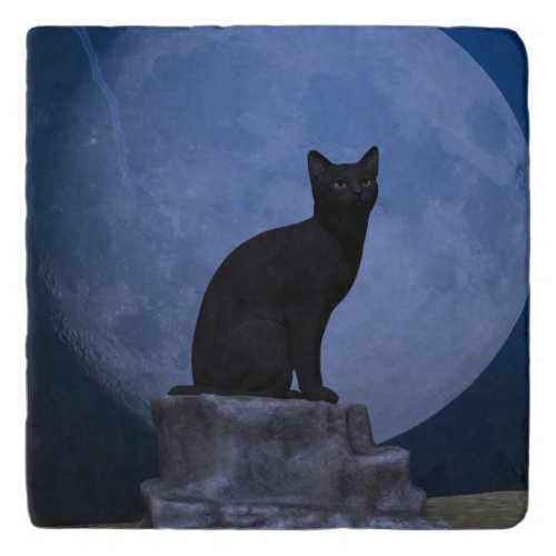 Moonlit Cat Trivet