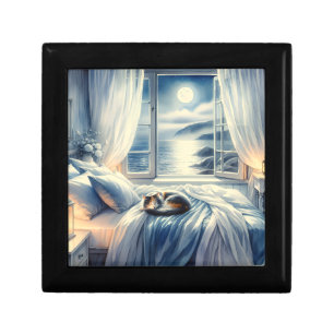 Moonlit Coastal Bedroom with Sleeping Cat Gift Box