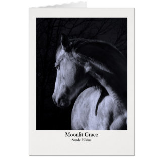 Moonlit Grace Cards