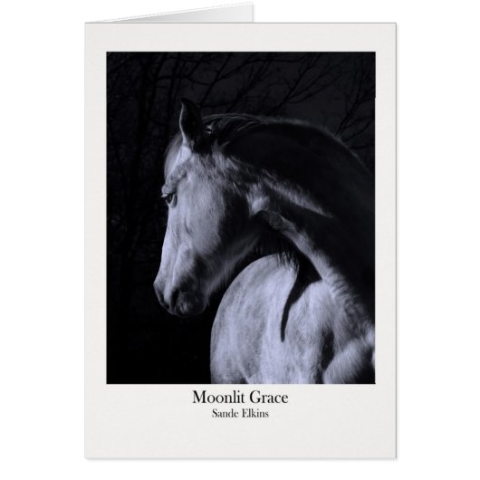 Moonlit Grace Cards (Front)