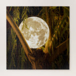 Moonlit Mystery Jigsaw Puzzle