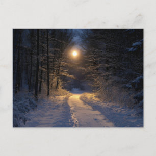 Moonlit Snowy Forest Path Winter Scenic Travel Holiday Postcard