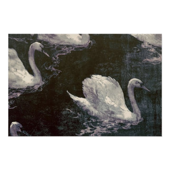 Moonlit Swan Lake Poster (Front)