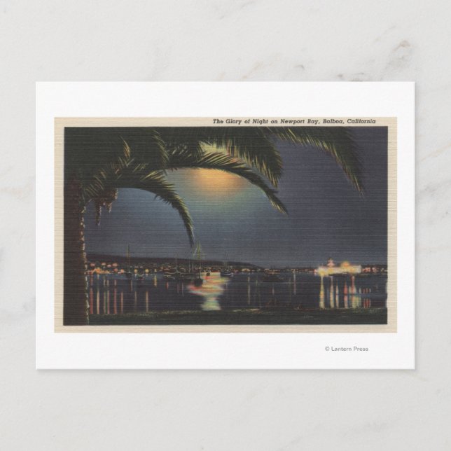 Moonlit View of Newport Bay Postcard (Front)