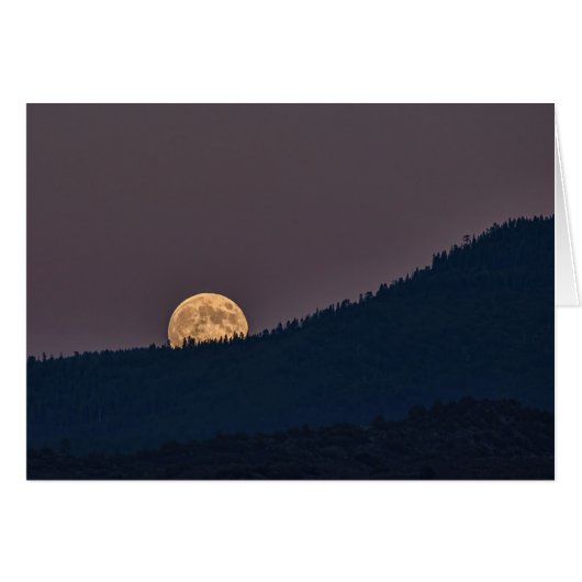 MOONRISE (Front Horizontal)