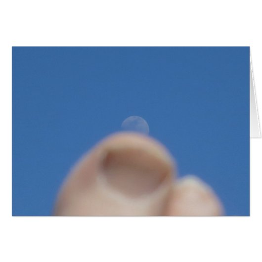 Moonrise 2014 (Front Horizontal)