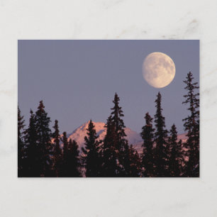 Moonrise Early Winter Anchorage, Alaska Postcard