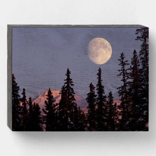 Moonrise Early Winter  Anchorage Alaska Wooden Box Sign