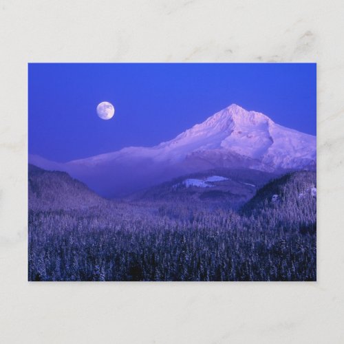 Moonrise over Mt Hood winter Oregon Postcard