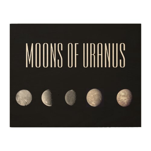 Moons of Uranus Wood Wall Art