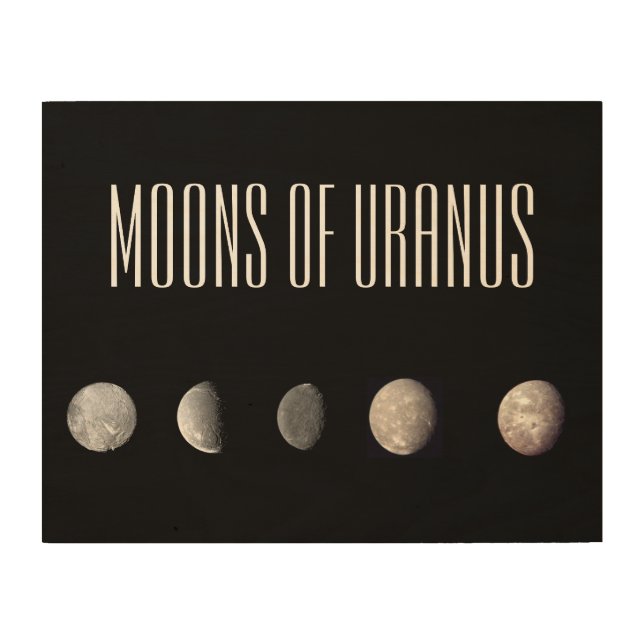 Moons of Uranus Wood Wall Art (Front)
