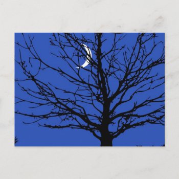 Moonscape In Cobalt Blue And Black Postcard by Floridity at Zazzle
