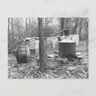 Moonshine Still in the Woods, 1931 Postcard