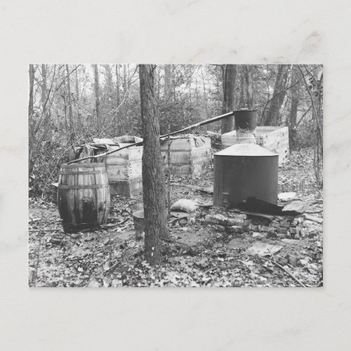 Moonshine Still in the Woods 1931 Postcard