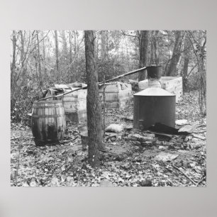 Moonshine Still in the Woods, 1931. Vintage Photo Poster