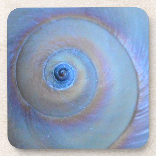 Moonsnail Closeup4 Beverage Coaster (Front)