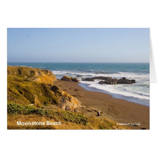 Moonstone Beach Cambria California Products (Front Horizontal)