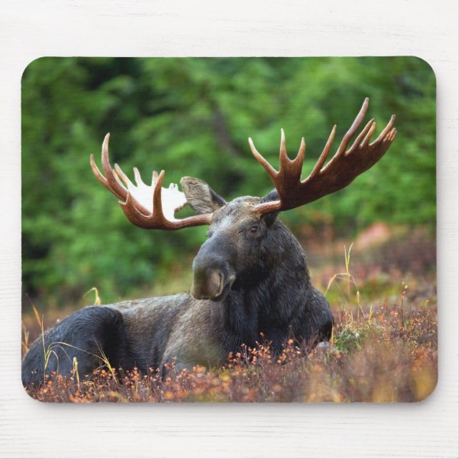 Moooose! Mouse Pad (Front)