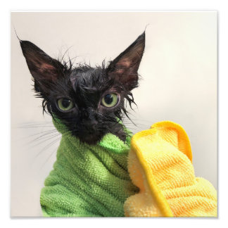 Moop, post-bath photo print
