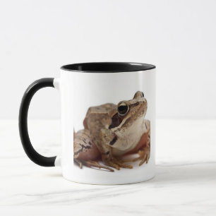 Moor Frog - Rana arvalis Mug