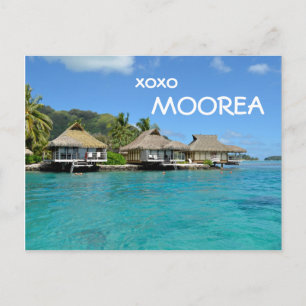 Moorea bungalows with text: 'xoxo Moorea' postcard