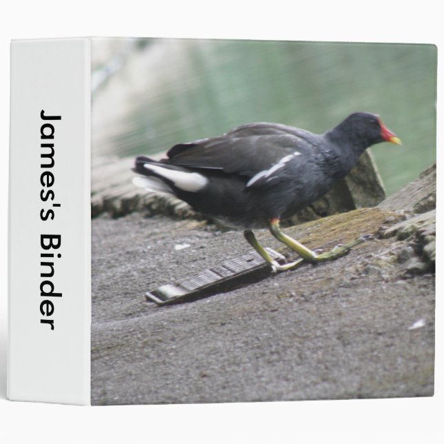 Moorhen Custom Binder (Front/Spine)
