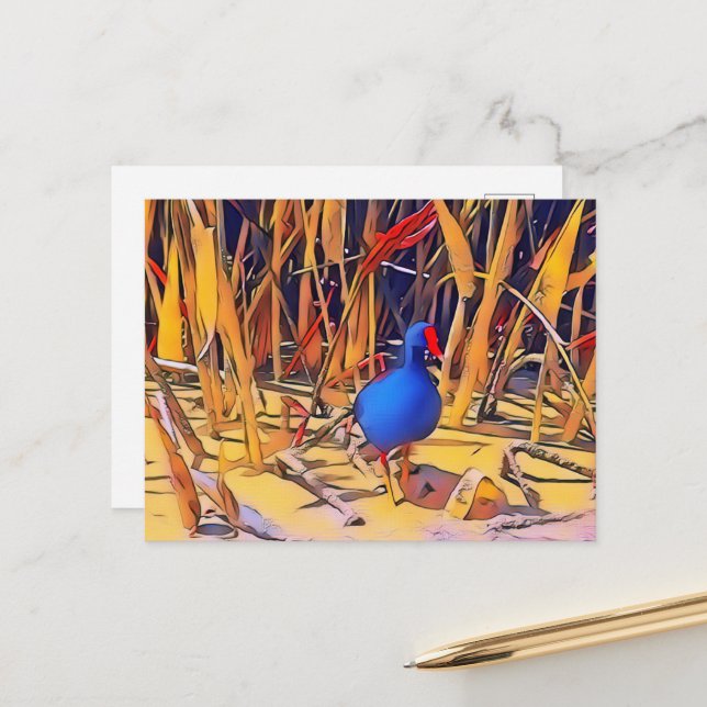 Moorhen Postcard (Front/Back In Situ)