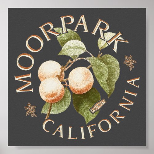 MOORPARK VENTURA CALIFORNIA _ MOORPARK APRICOT POSTER