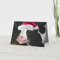 Moory Cow Christmas Holiday Card