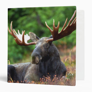 Moose 3 Ring Binder