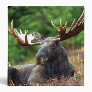 Moose 3 Ring Binder