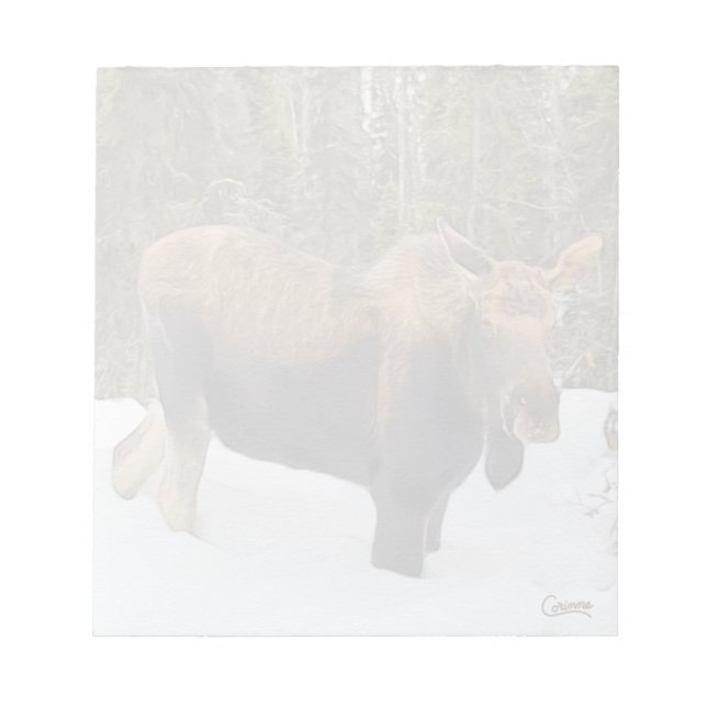 Moose - 5.5" x 6" Notepad (Front)