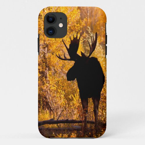 Moose Alces Alces Bull In Golden Willows 2 iPhone 11 Case