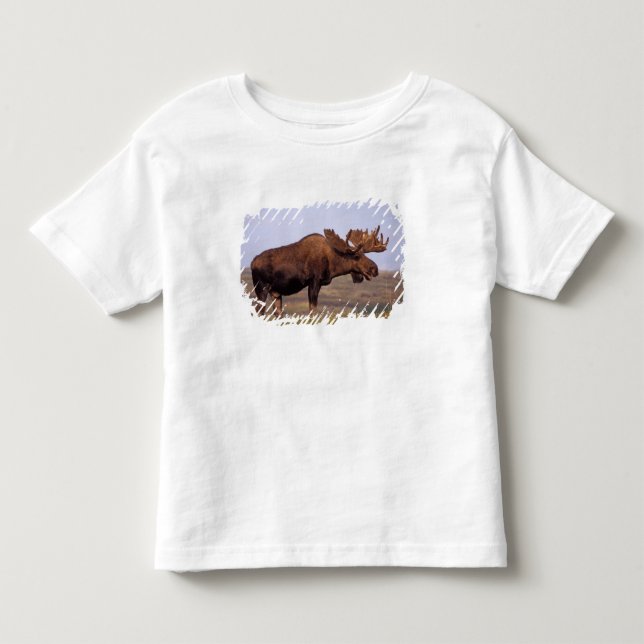 moose, Alces alces, bull with large antlers Toddler T-shirt (Front)