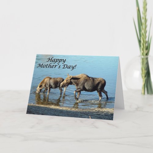 Moose and Calf Happy Mothers Day Card