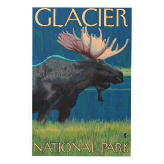 Moose at Night - Glacier National Park, MT Wood Wall Decor