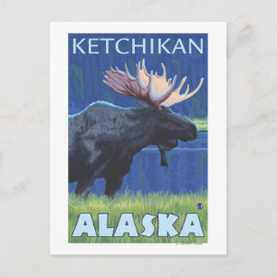 Moose at Night - Ketchikan, Alaska Postcard