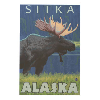 Moose at Night - Sitka, Alaska Wood Wall Art