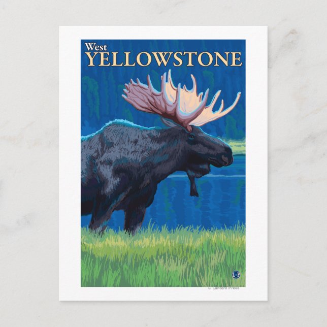 Moose at Night - West Yellowstone, Montana Postcard (Front)