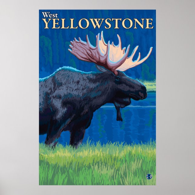 Moose at Night - West Yellowstone, Montana Poster (Front)