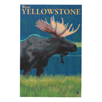 Moose at Night - West Yellowstone, Montana Wood Wall Art