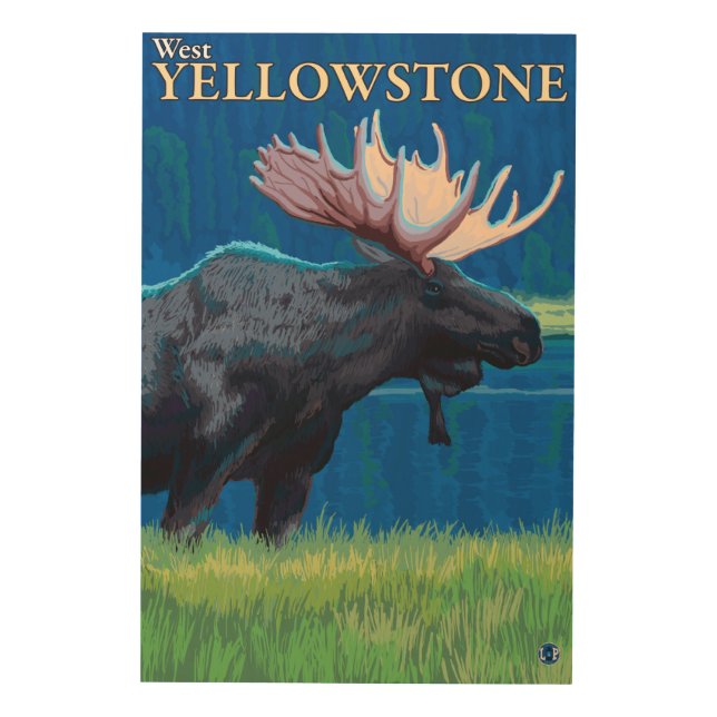 Moose at Night - West Yellowstone, Montana Wood Wall Art (Front)