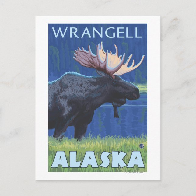 Moose at Night - Wrangell, Alaska Postcard (Front)