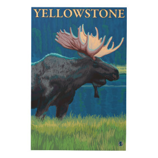 Moose at Night - Yellowstone National Park Wood Wall Art