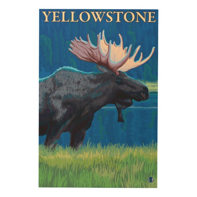 Moose at Night - Yellowstone National Park Wood Wall Art (Front)